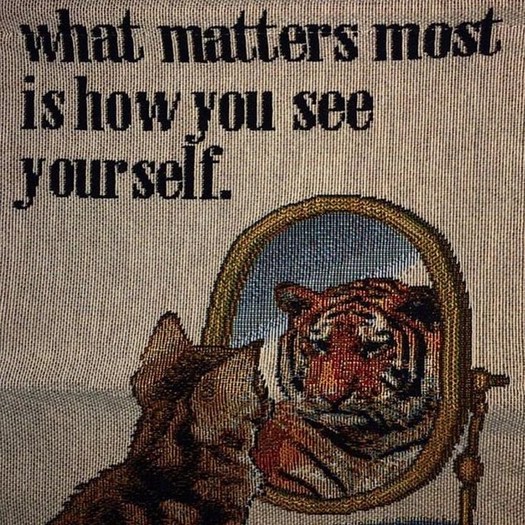 Mind Essentials tweet media