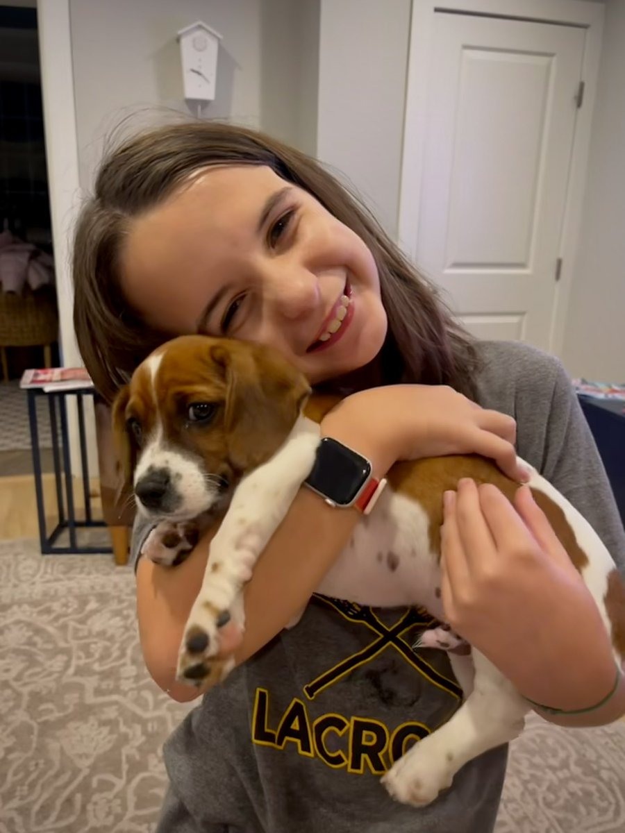 HobanGirl's tweet photo. Tbh, I snaked through the crowd for #RandolphStrings… fool for musicians.🤷♀️ Thursday was brilliant; Friday was miserably wet and gusty, but Buddy was brill at his 1st vet visit, game at going the distance walking, loves being a cuddled lap pup at 10 weeks. #joy #blessings #love https://t.co/q3MTnkkd1Z