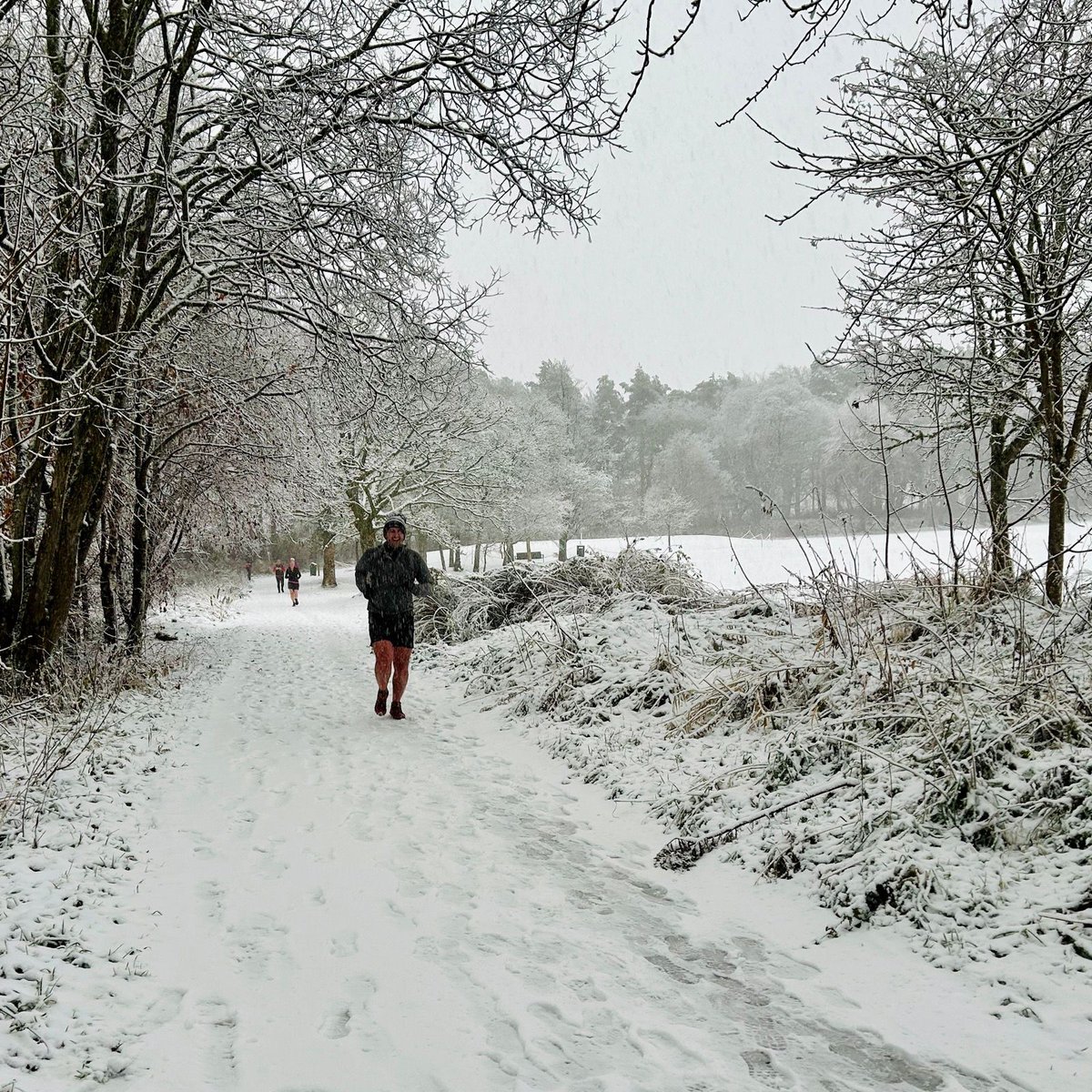 Gallusness tweet media