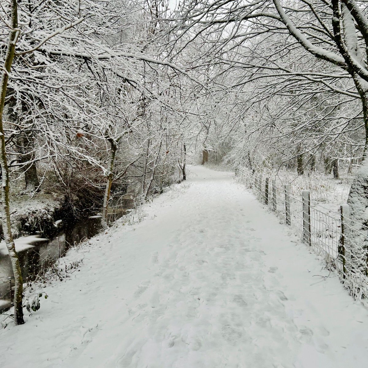 Gallusness tweet media