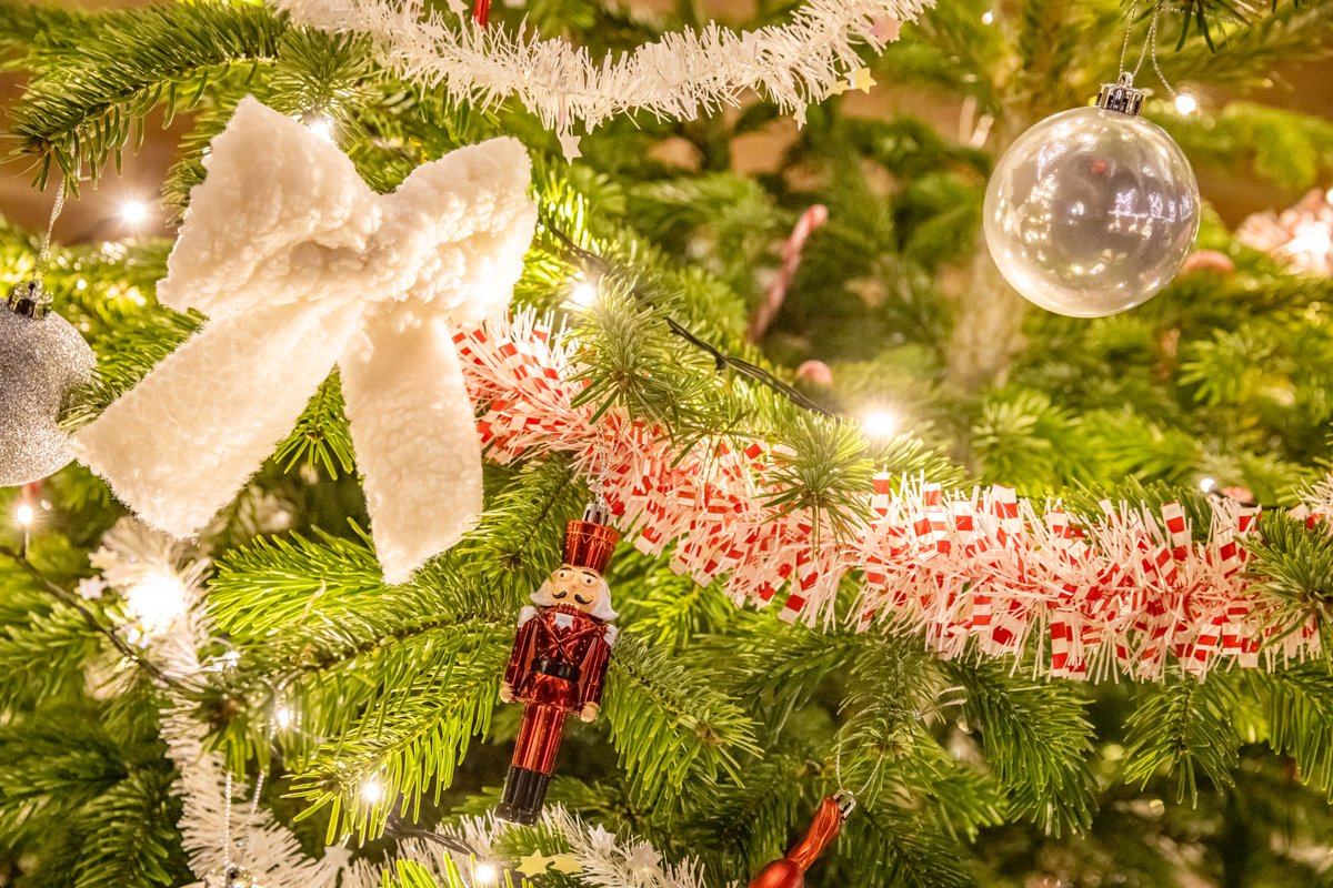 MarkCarline's tweet photo. It wouldn't be Christmas for me without this event.  It's great to see the @ChesterCath filled full of these trees.  Only managed to grab a few pics and there are loads more!  Full pics on : https://t.co/7T2K1OEhFq https://t.co/ESfVlAn9Uy