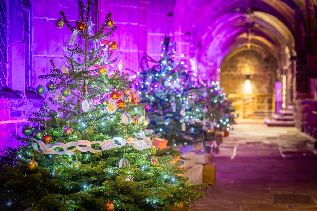 MarkCarline's tweet photo. It wouldn't be Christmas for me without this event.  It's great to see the @ChesterCath filled full of these trees.  Only managed to grab a few pics and there are loads more!  Full pics on : https://t.co/7T2K1OEhFq https://t.co/ESfVlAn9Uy