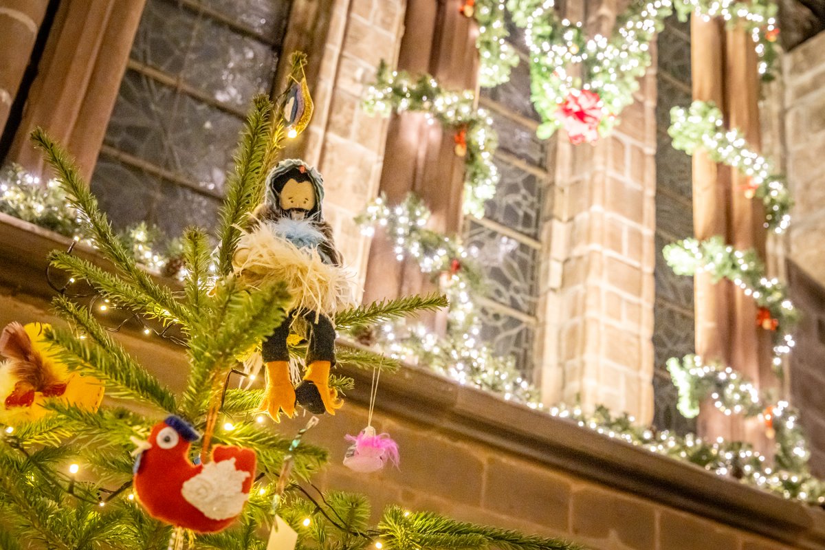 πΌπππ π²ππππππ (@markcarline) on Twitter photo It wouldn't be Christmas for me without this event. It's great to see the <a href="/ChesterCath/">Chester Cathedral</a> filled full of these trees. Only managed to grab a few pics and there are loads more! Full pics on : flickr.com/photos/markcarβ¦ It wouldn't be Christmas for me without this event. It's great to see the <a href="/ChesterCath/">Chester Cathedral</a> filled full of these trees. Only managed to grab a few pics and there are loads more! Full pics on : flickr.com/photos/markcarβ¦
