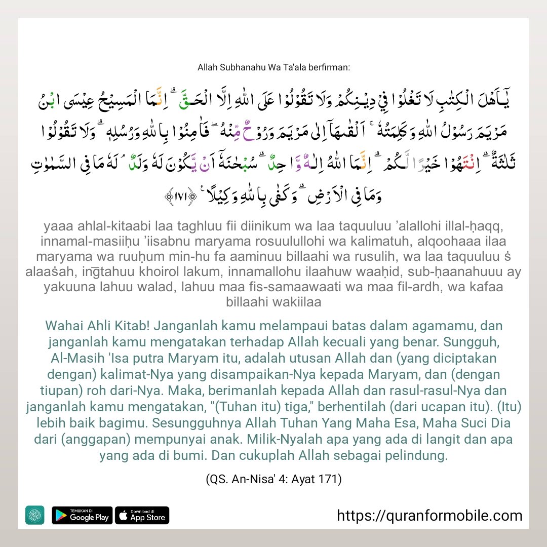 SHANDY TV tweet media