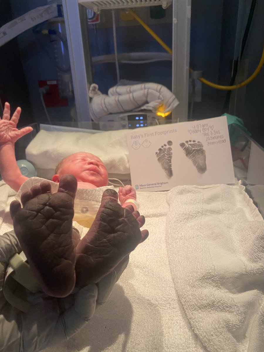 Lou Proietti tweet media