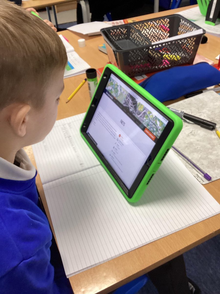orchardsac's tweet photo. Year 6 working so hard to research their own endangered species ready for their #BigWrite! Well done year 6! #primaryeducation #writing 
@rosBIGWRITING 💚💚 @greenheartLP 💚💚 https://t.co/alDg5F6jvy