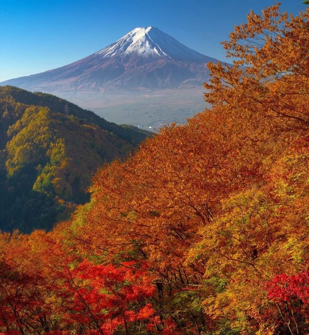 BRAVO ! à M. SORO Karna, Représentant du #ROSCIDET et de #EBAFOSA Côte d'Ivoire dans la région de San-Pedro qui est en se moment en séjour d'études et de formation au #Japon. Bon séjour studieux à toi.