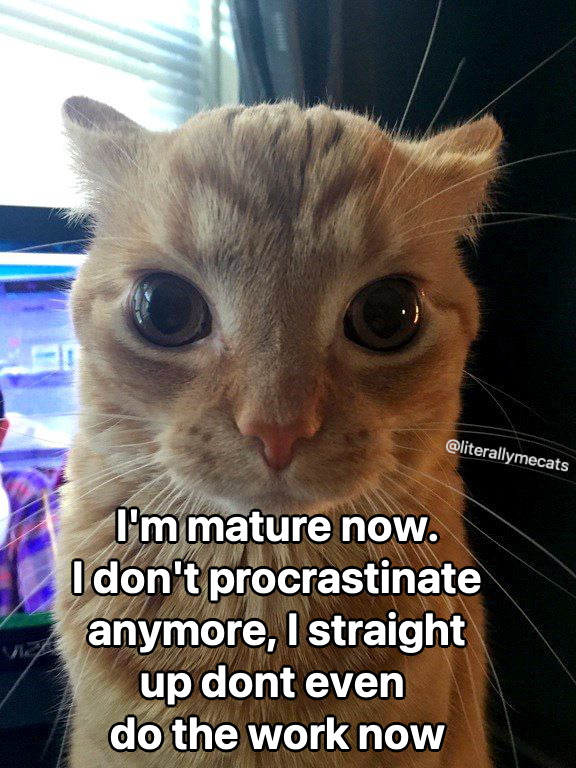 literallymecats's tweet photo. https://t.co/LTrPFmbaIL