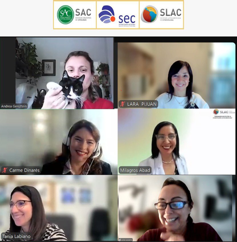 Sociedad Española de Citología tweet media