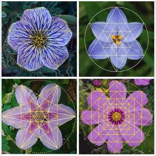 “Donde hay materia, hay geometría”.
- Johannes Kepler