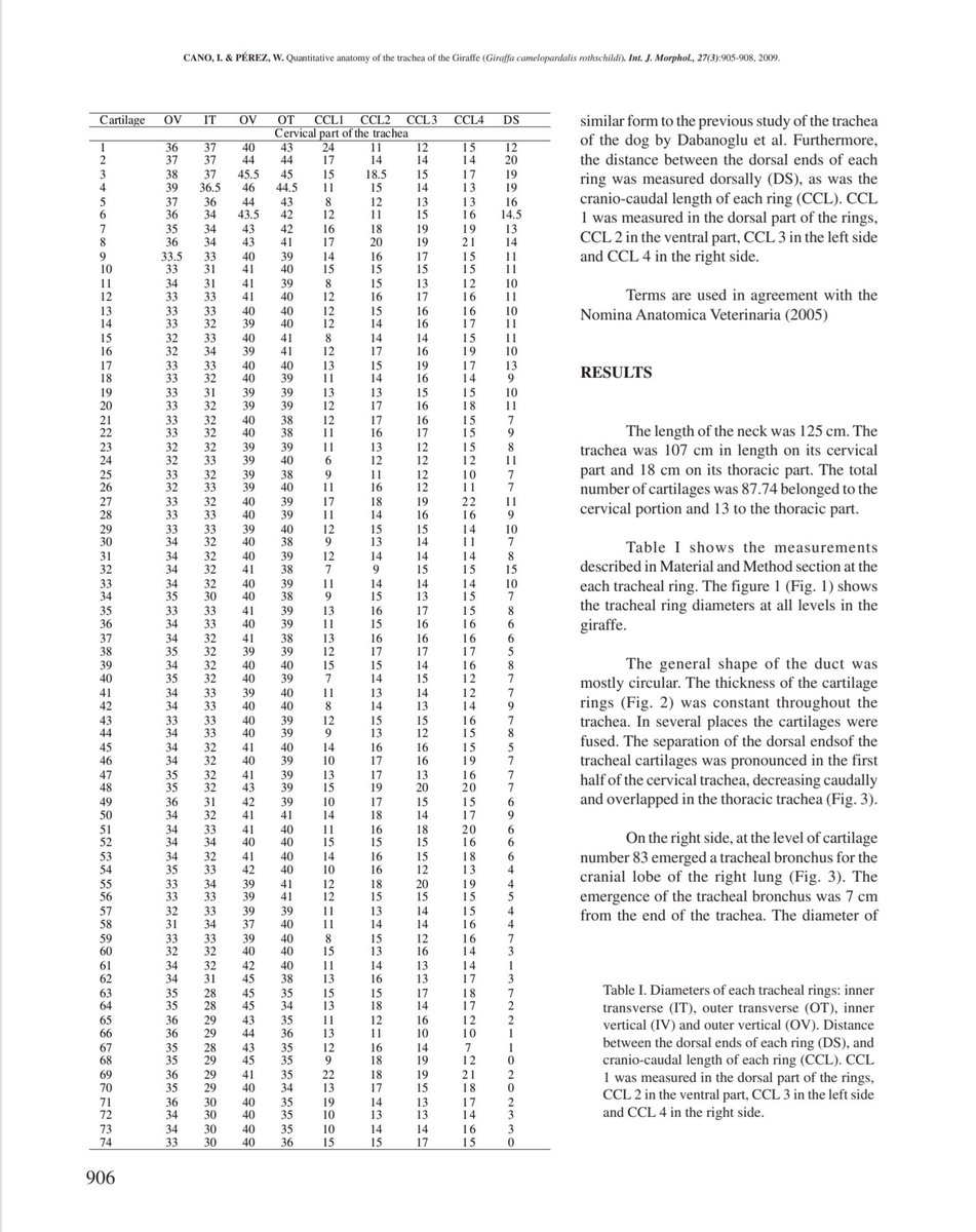 Angela Hancock tweet media