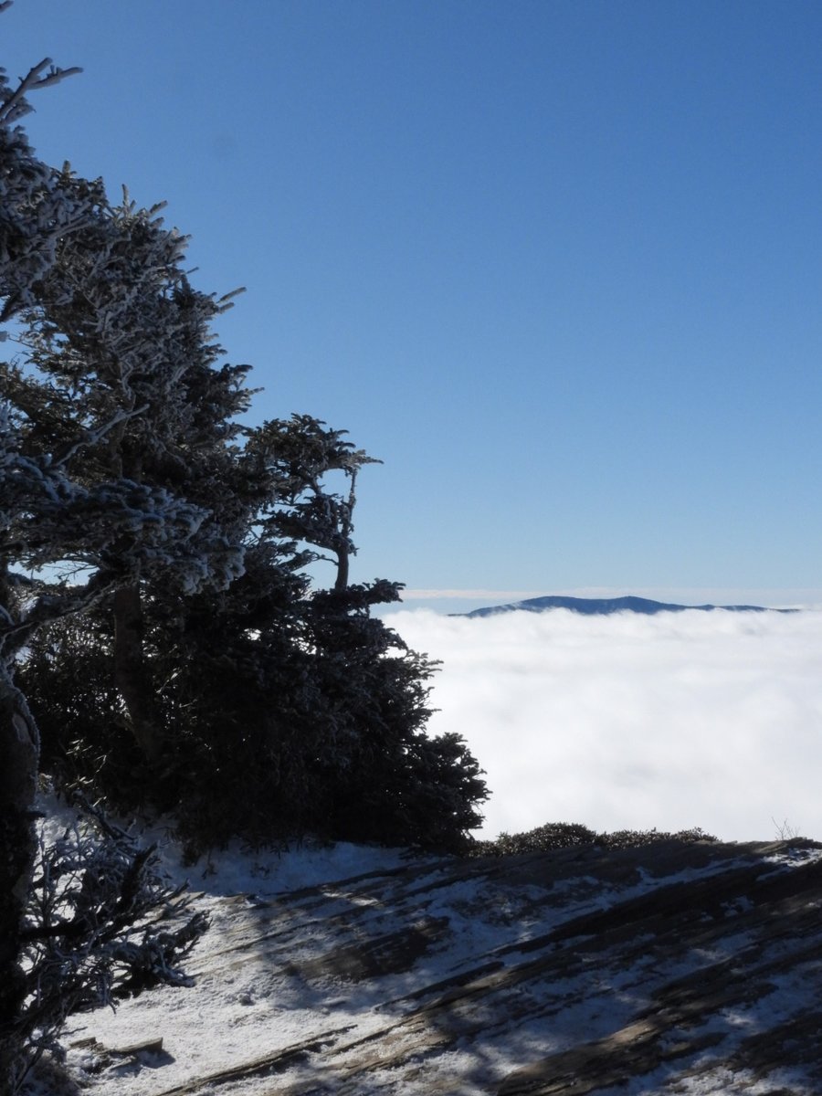 achowell2014's tweet photo. Solo hiking in the snow and ice is so rewarding to me. Peaceful.
#MountLeConte #GreatSmokyMountains #Tennessee
#AmateurPhotography https://t.co/E6dWjFV3n0