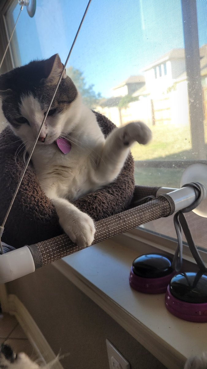 Friendship? Naw, Athena says catch these hands! 😈