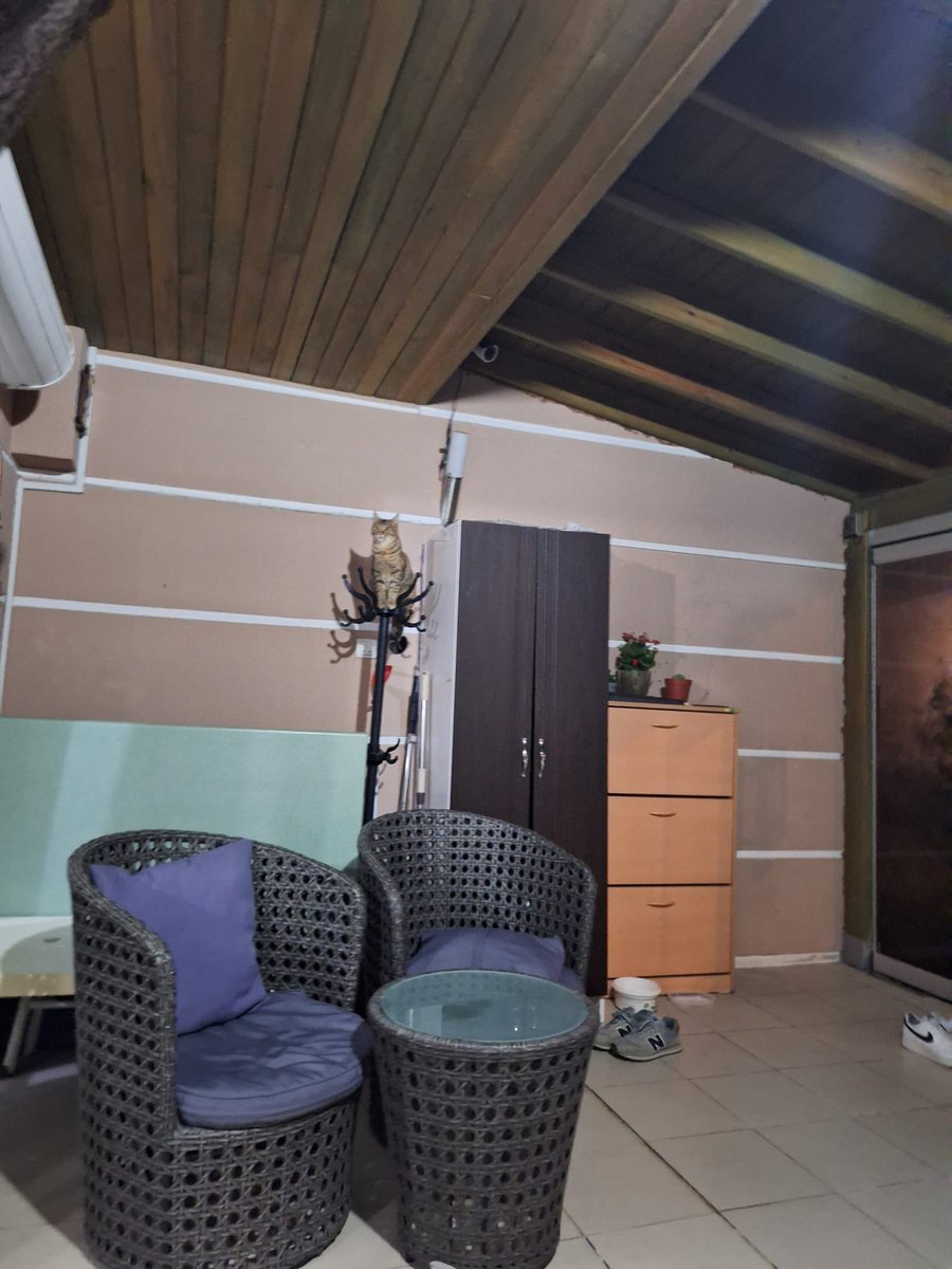 Duygu (@dabbugh) on Twitter photo 