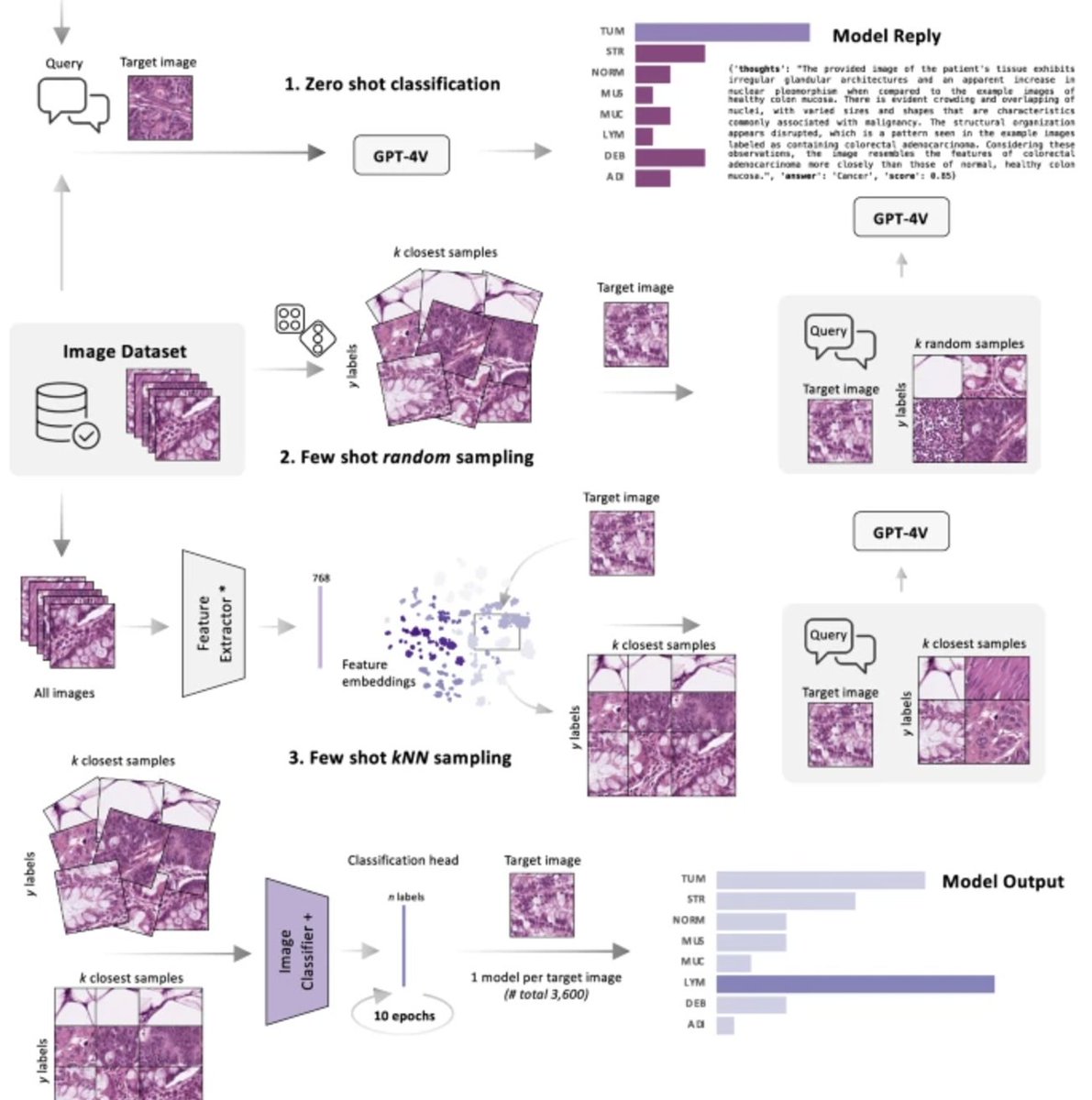 Jakob Nikolas Kather (@jnkath) on Twitter photo Happy to share our new paper from <a href="/katherlab/">katherlab</a> , led by <a href="/Dykex6/">Dyke Ferber</a> , which was just published in <a href="/NatureComms/">Nature Communications</a>. In-context learning enables general-purpose vision language models to perform well on medical image analysis tasks. We don't need to train a neural network at all - just Happy to share our new paper from <a href="/katherlab/">katherlab</a> , led by <a href="/Dykex6/">Dyke Ferber</a> , which was just published in <a href="/NatureComms/">Nature Communications</a>. In-context learning enables general-purpose vision language models to perform well on medical image analysis tasks. We don't need to train a neural network at all - just