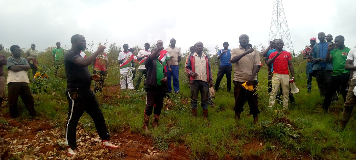 bukeyeneza_2's tweet photo. #BUGENDANA -#MUTAHO:
Muntumbero yo kugwiza icamwa c'#amavoka,kuri uyu wa Gatandatu ,#imbonerakure za zone ,#MUTAHO zateye #amavoka ya Zone Ku mutumba #BIGERA.
#Nevawacu
#ivokayacu https://t.co/zpUtmCsUfw