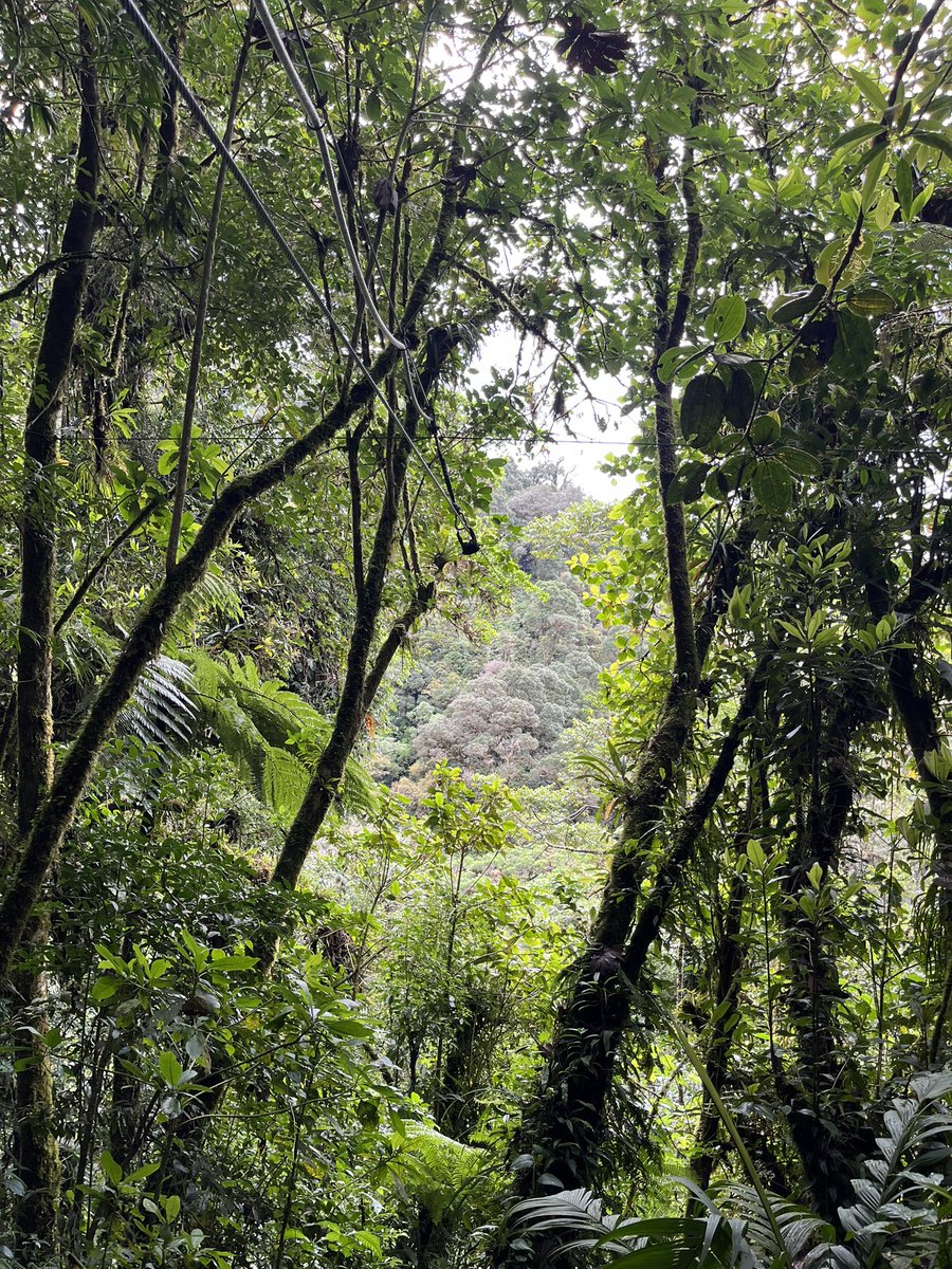 narda_lb's tweet photo. La naturaleza es la realidad objetiva, el sentido de la vida 🌱🤍 https://t.co/9Fw2QSP7D3