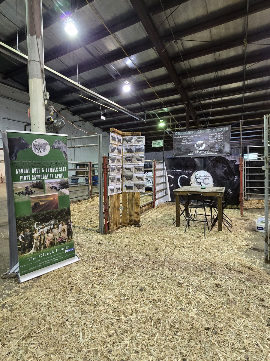 Wade Olynyk tweet media