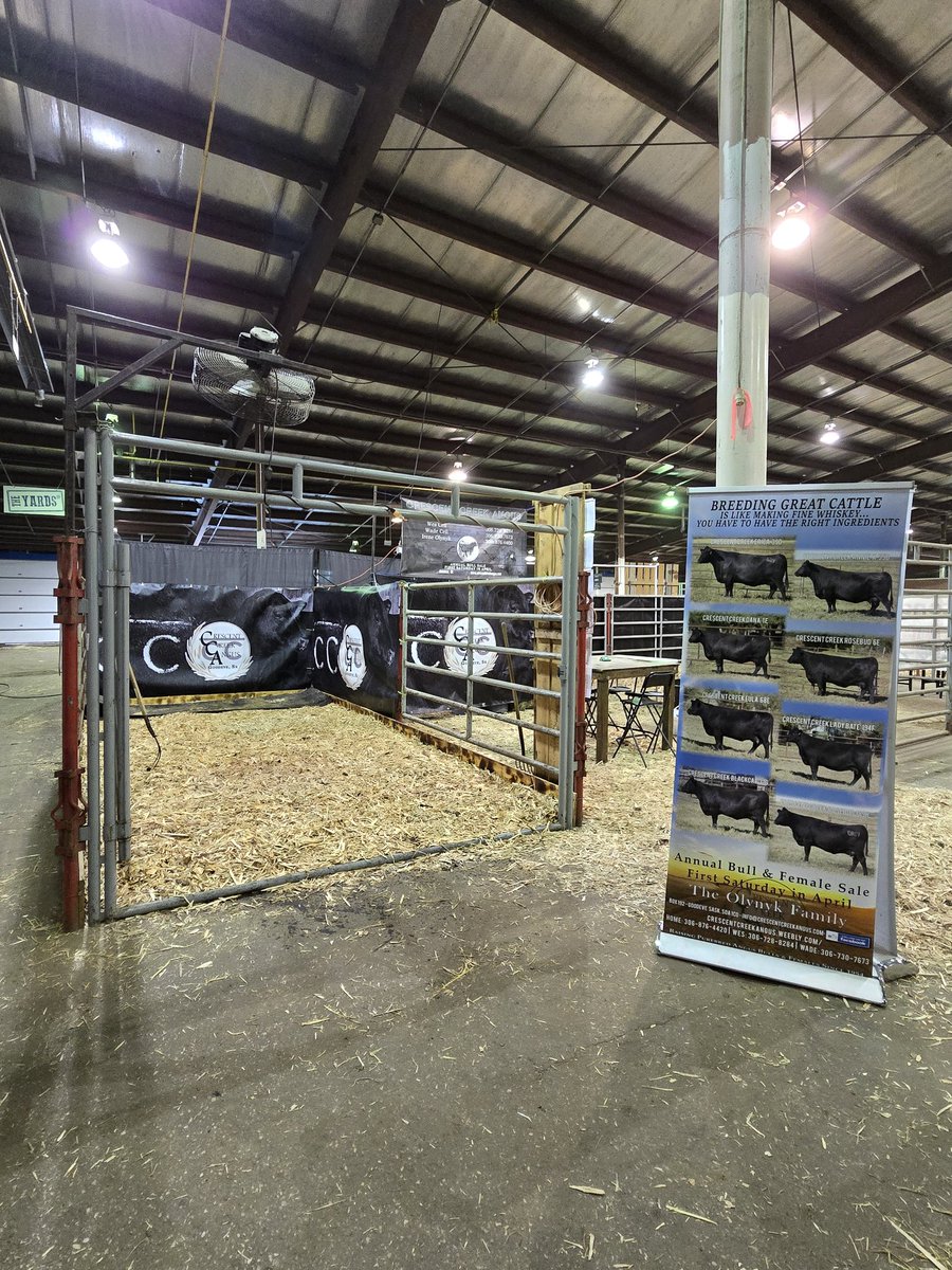 Wade Olynyk tweet media