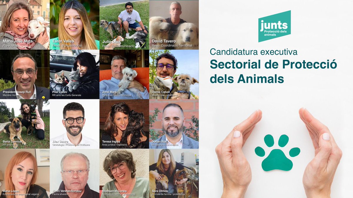 Equip de luxe a la candidatura per a dirigir la Sectorial de Protecció dels Animals de Junts. Reunim un nivell premium de coneixements, experiència i sensibilitats, cobrint totes les àrees d’especialització. Si ets militant adherit a la Sectorial, vota’ns els propers 27 i 28 N!!