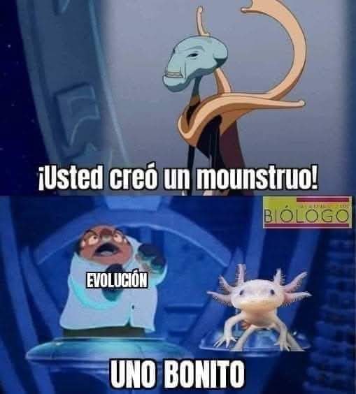 El Cóndor (@condorpana) on Twitter photo 