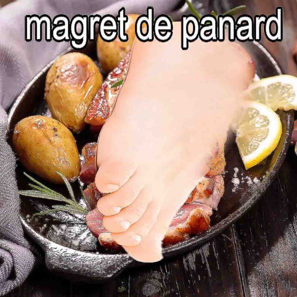 pantoufleconfor's tweet photo. En vrai les gars ? Vous préférez quoi entre ces 2 monstres ? https://t.co/kwrvduvrRA
