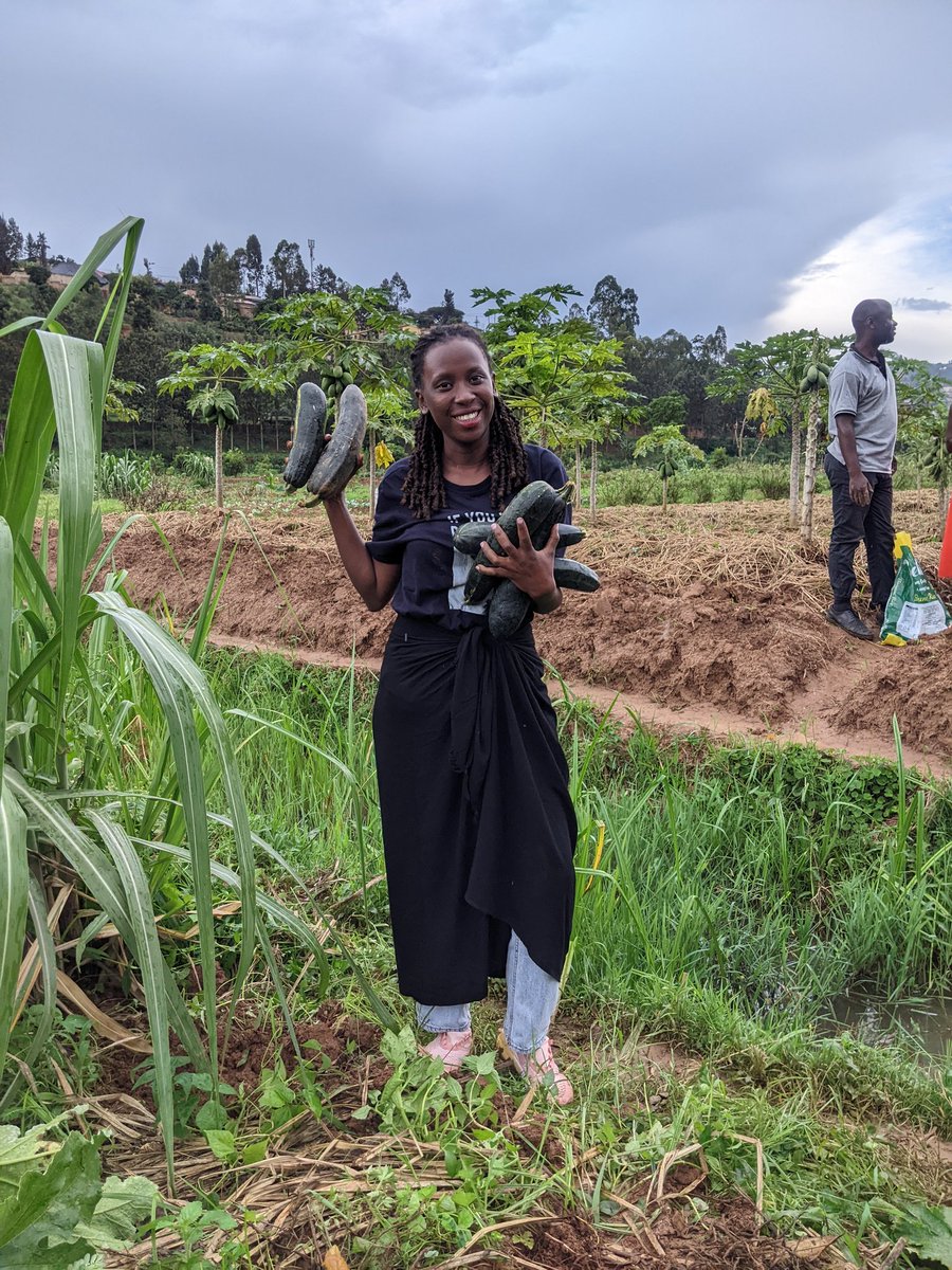Isheja13's tweet photo. Regenerative agriculture is the future! 🌍 at @RwandaBiosolut, we’re restoring soils with practices like agroforestry, crop rotation, and No-till. Let’s farm sustainably and protect our planet for generations! 🌱 #RegenerativeFarming #Sustainability https://t.co/NscbxxNBFt