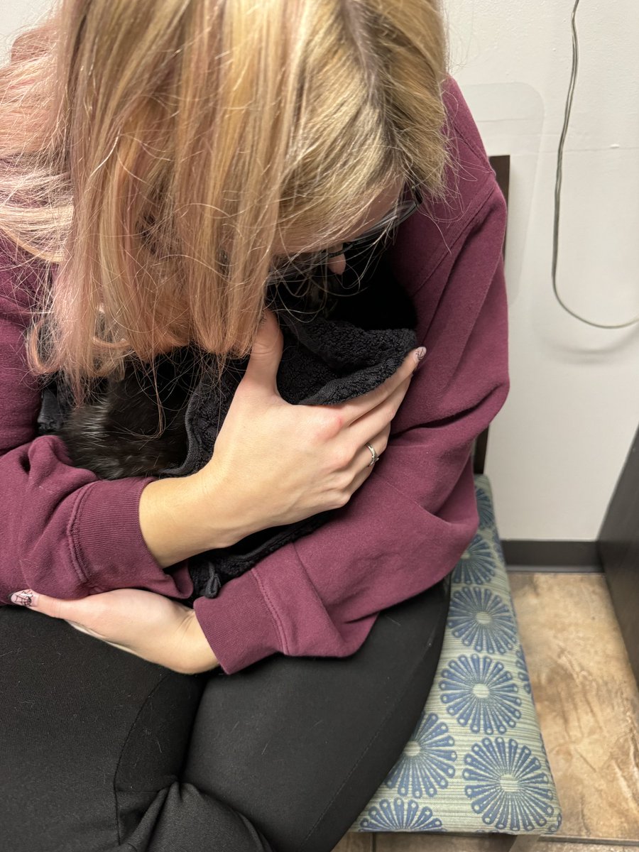 RHJ03's tweet photo. RIP my sweet, sweet angel boy Jack 💔 I’m still in utter disbelief and denial and all over devastation and can’t believe you’re gone. Without any warning waking up to your mews before you passed will forever haunt me and I can’t stop thinking about your last moments. 
#petloss https://t.co/8mvFUxJlGR