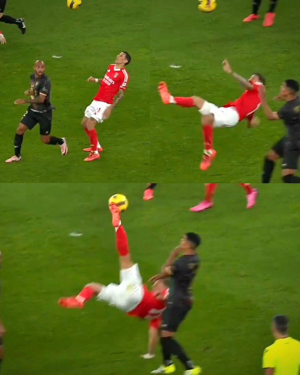 Um prazer ter DI MARIA no nosso Benfica ! 😍🦅