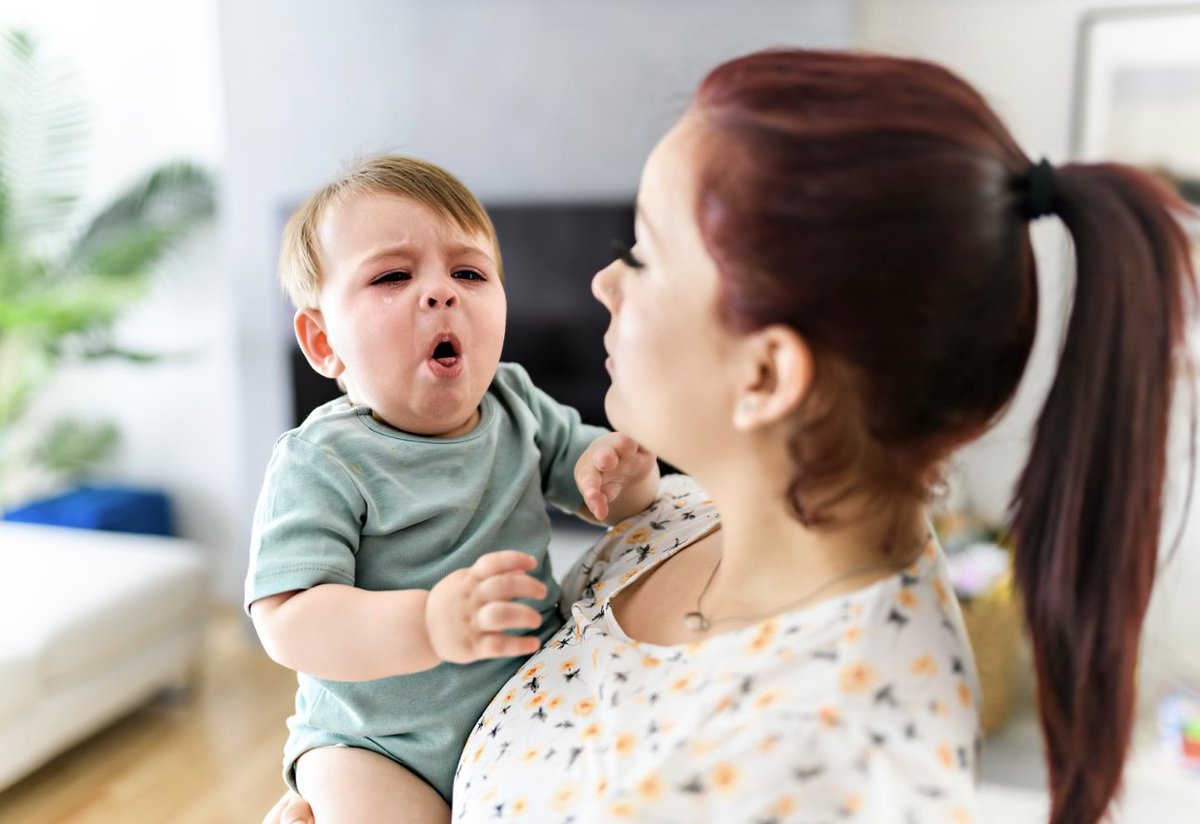AliaVFF's tweet image. Whooping cough / Pertussis.
Some uninformed trolls were slinging around the tired 'misinformation' and 'anti-vax' labels this morning in response to a comment I made about what the research says about this illness.
I've gathered a few key snippets from studies and articles…