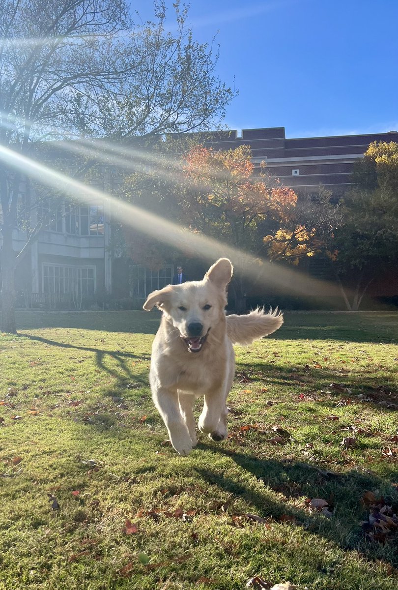 Kirk Herbstreit tweet media