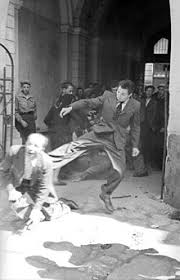 BetoO85239's tweet photo. Go be a jew somewhere else 😜⚡⚡88 https://t.co/2xjMlxEm4p