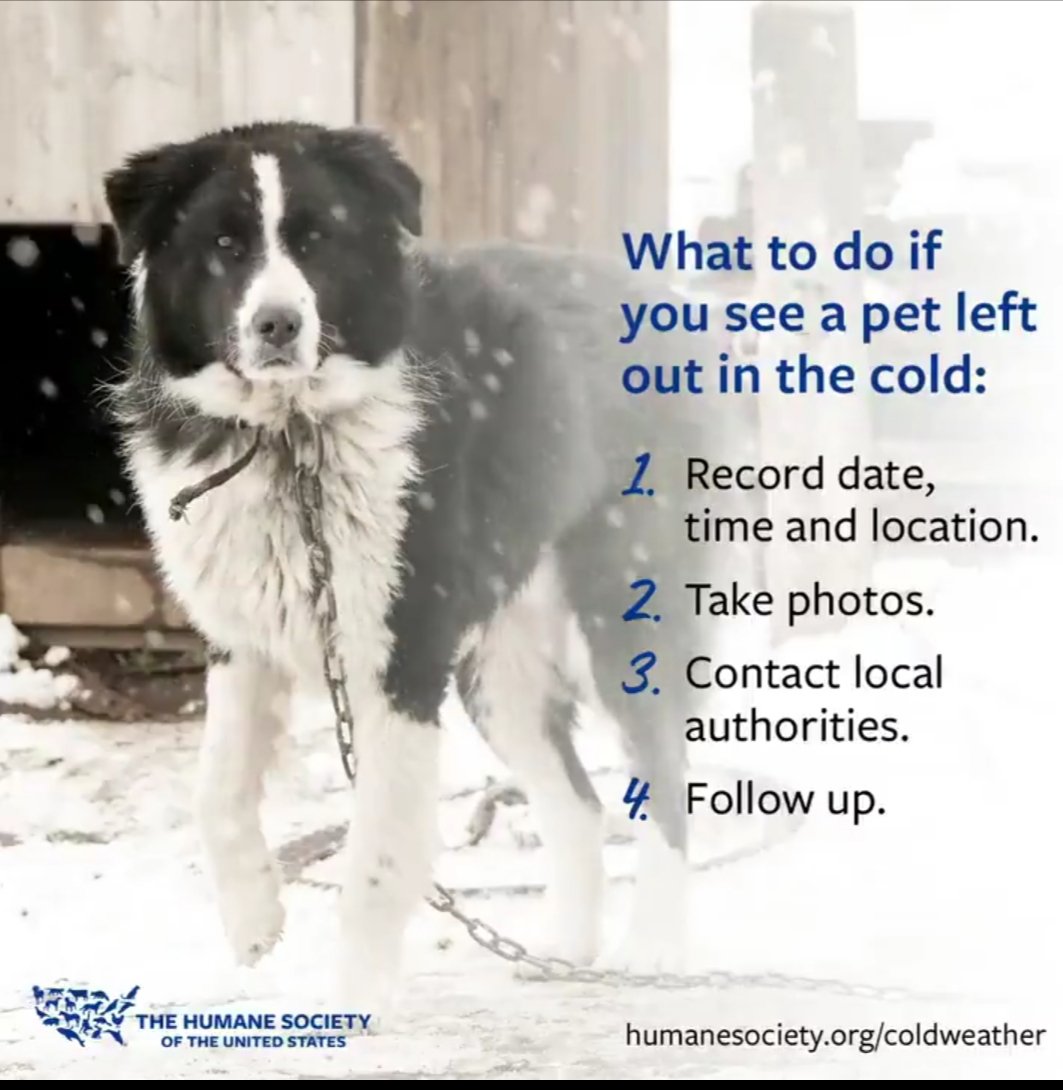 #OTLFP #AnipalHB 
Let's talk wintertime safety❄️
It's winter time for much of the world and some pets are suffering out in the cold. Here's what to do if you witness it. Thanks to The Humane Society of the United States for this helpful poster😢❄❄❄