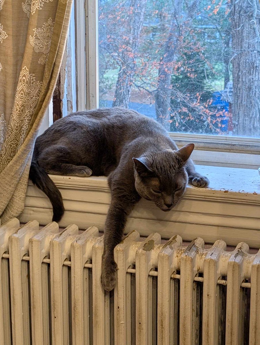 Mommy Marshal Heidi 🏳️‍🌈🏳️‍⚧️☭ tweet media