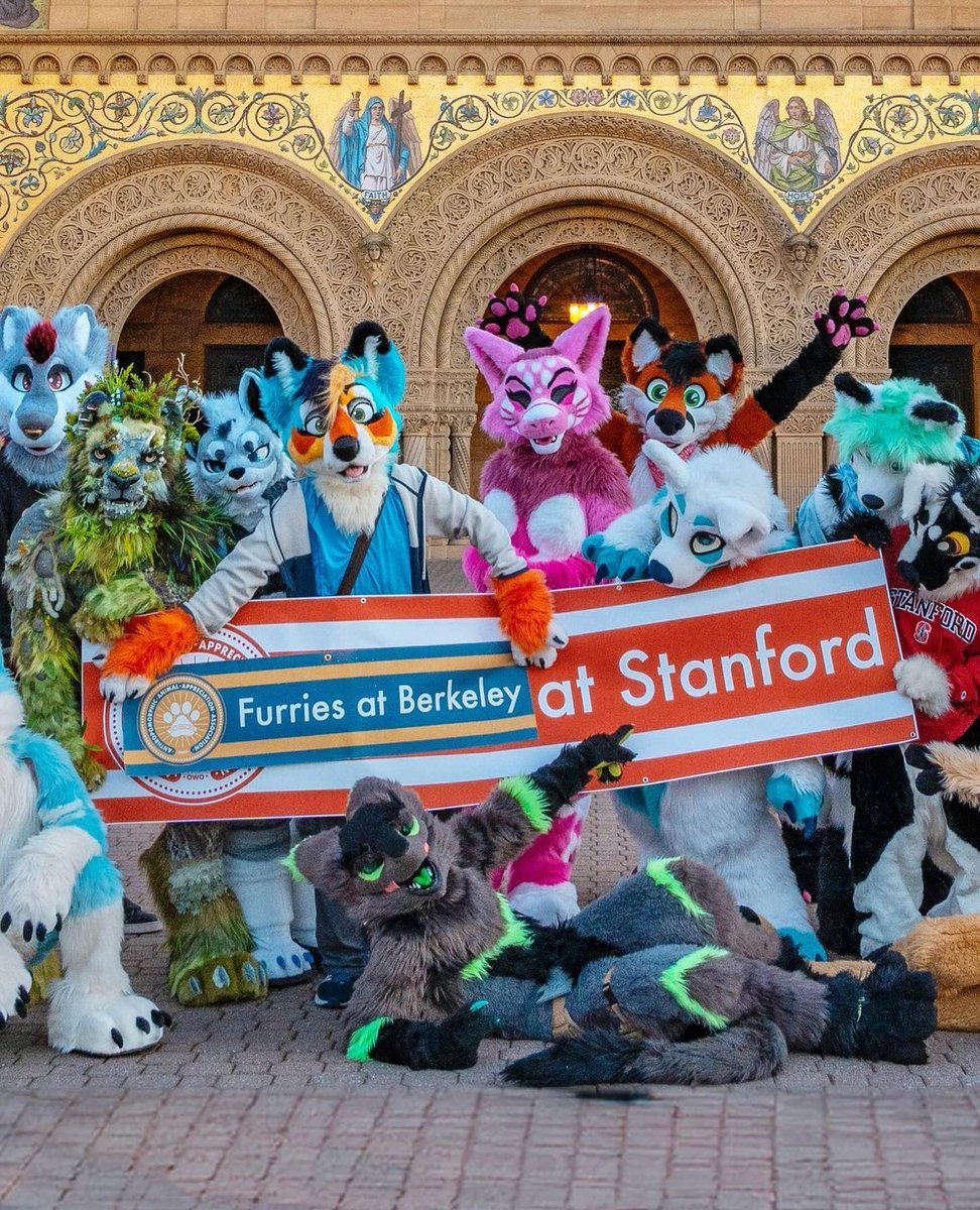 Happy Big Game to our furry frenemies at <a href="/stanfordfurries/">Stanford Furries</a>!

You’re in the lead— for now… 🌲💪🐻

📸 <a href="/ChatahSpots/">Ｍｉｇｏ💢｜Chatah🏖☀️</a>