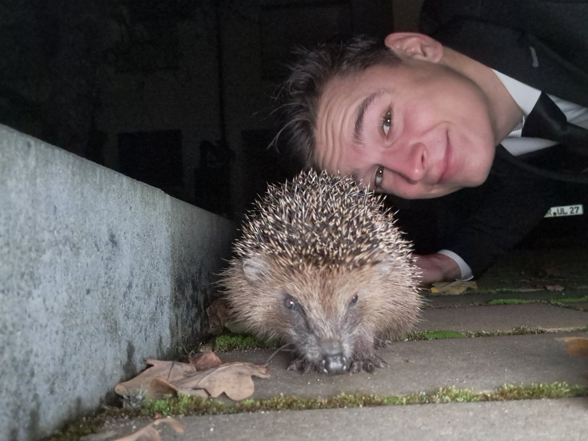 LG von mir und Igel