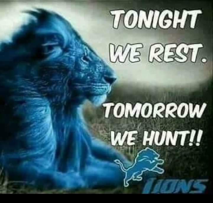SteveB2534's tweet image. #OnePride #BeatTheColts