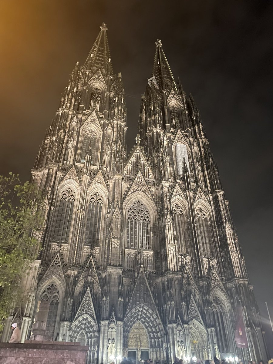 kelsey 🦇🌙✨ tweet media