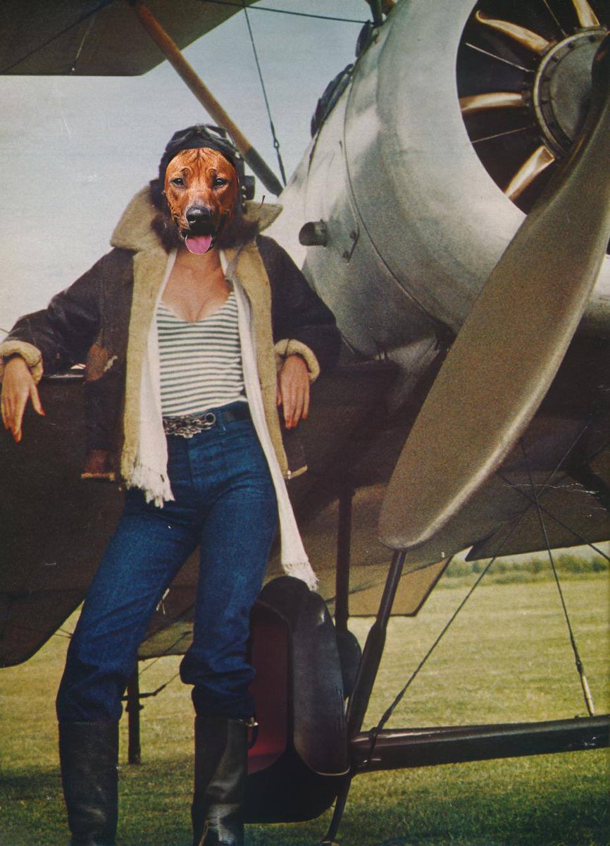 Bitcoin is about to go where no good pup has gone before…

Raise your targets. 

This one’s for Hal.