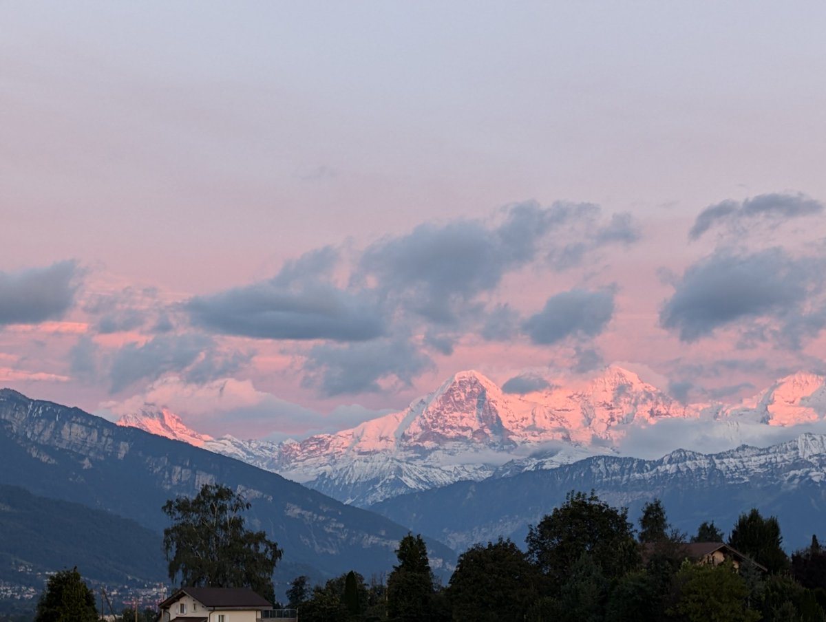 See you on Bluesky, let's leave Nazis and fascists in their corrupted echo chamber.

There is no future for X nor the world dumb and dumber want to creat.