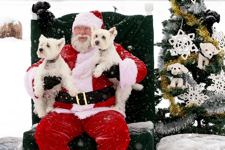 David Bloom (@davidbloomphoto) on Twitter photo Santa Claus poses for photos during a fundraiser for <a href="/dogs_with_wings/">Dogs with Wings</a> Assistance Dog Society in Edmonton's Terwillegar Dog Park Saturday. #yeg Santa Claus poses for photos during a fundraiser for <a href="/dogs_with_wings/">Dogs with Wings</a> Assistance Dog Society in Edmonton's Terwillegar Dog Park Saturday. #yeg