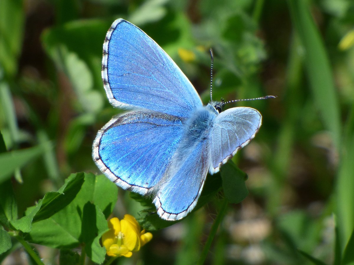 Changement d'air 🦋 
Retrouvons-nous @denischeissoux.bsky.social
