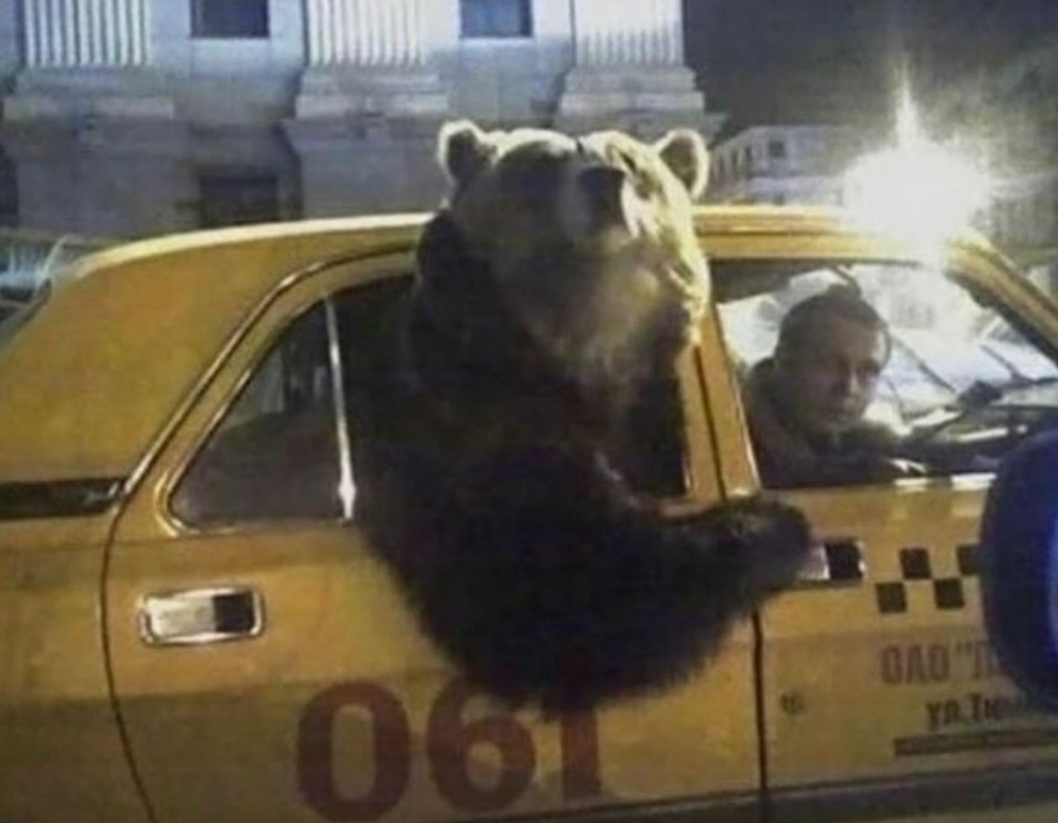 «ابنای روزگار، به صحرا روند و باغ /صحرا و باغِ زنده‌دلان، کویِ دلبر است.»