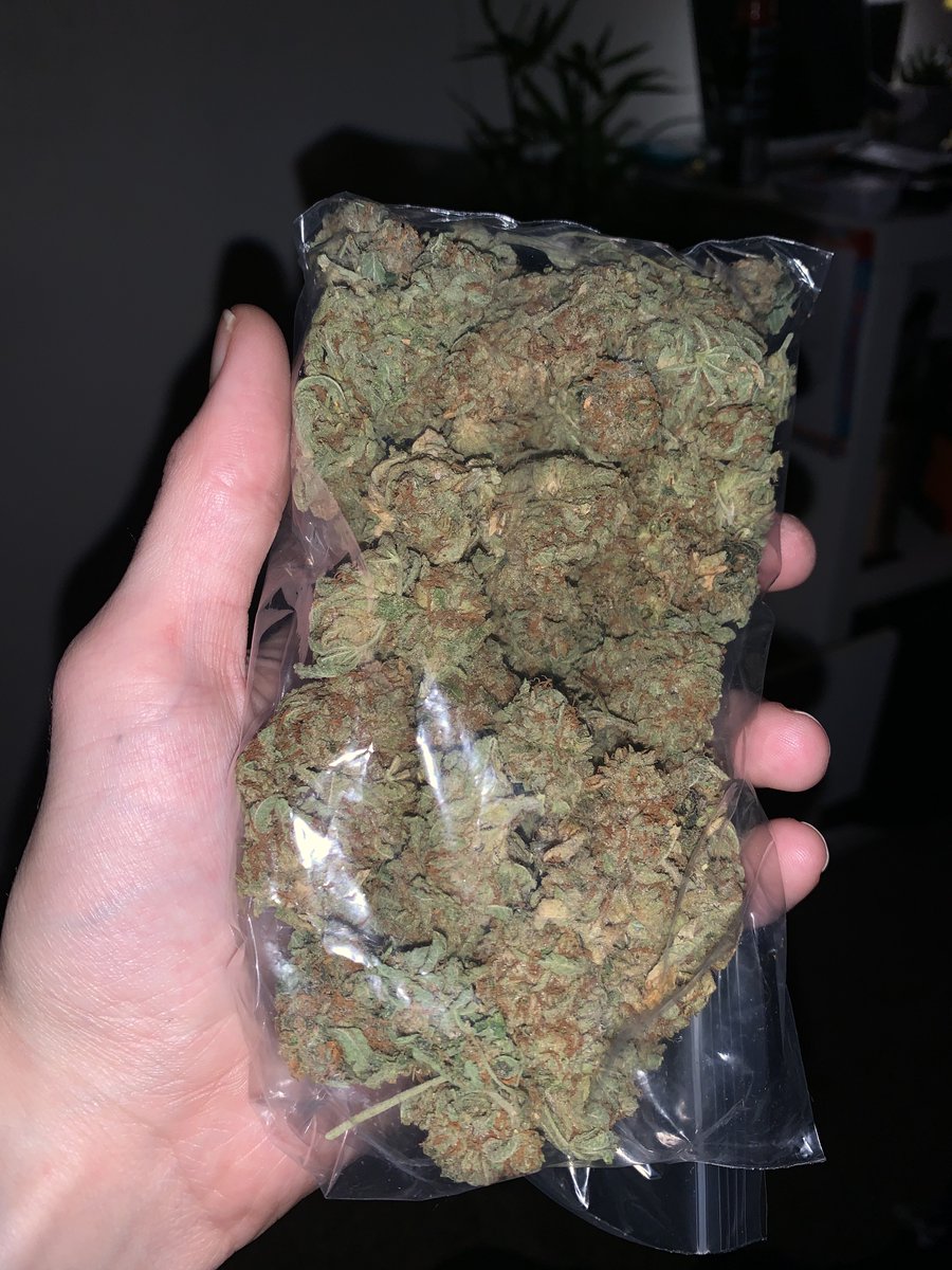 _StonersRUs_'s tweet photo. What’s your opinion on homegrown? 🌱 https://t.co/zEir5JZGoz