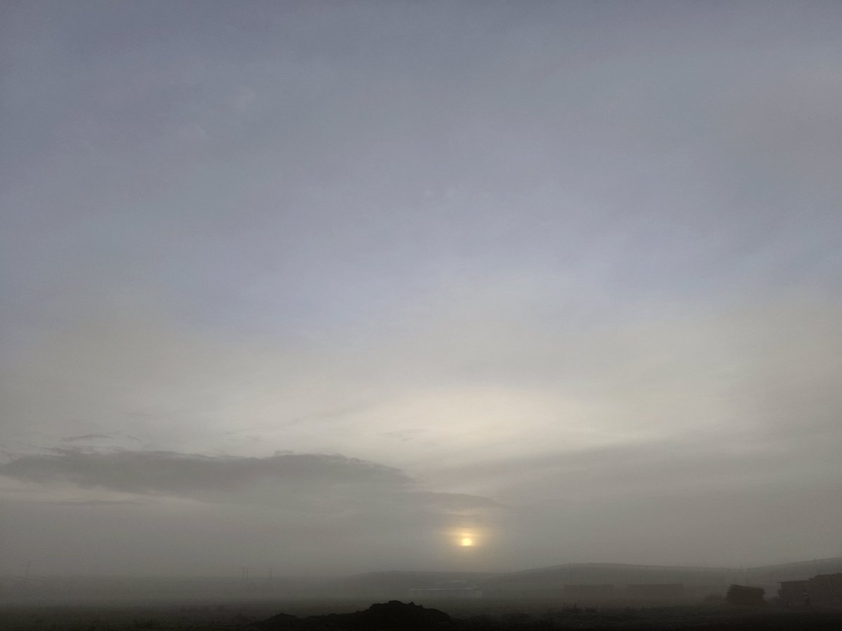 JRodrigud's tweet image. 