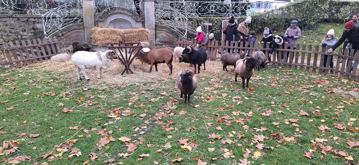 LNDM1's tweet photo. 574e édition de l'ancestrale Foire aux Oignons à Ville de @ManteslaJolie_ a accueilli la Médiévale de Mantes du 22 au 23 novembre 2024.
Quelques photos... https://t.co/xTkG452Ub1