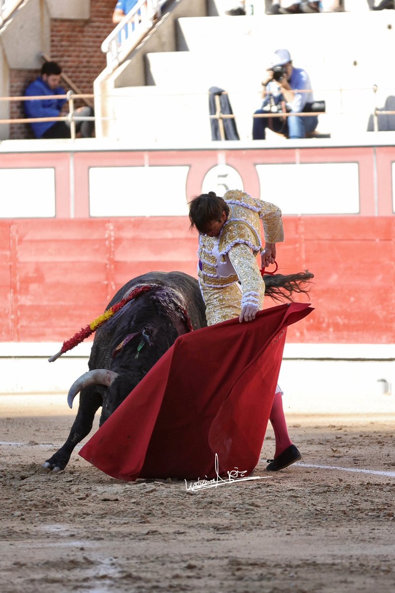 La vida rompe...
Y es de admirar, a quién se hace a golpe de muletazo sin una queja.
<a href="/DeTorresAdrian/">𝐀𝐃𝐑𝐈Á𝐍 𝐃𝐄 𝐓𝐎𝐑𝐑𝐄𝐒</a> mi apuesta del 2025.
Foto <a href="/VRuizConsuegra/">Verónica Ruiz</a>