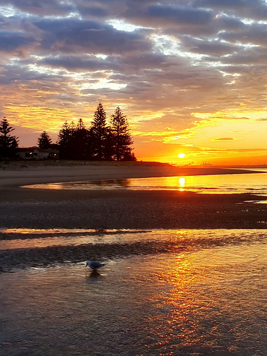 SoulColoursX's tweet photo. Good Morning and Happy Sunday!
Sunrise vibes at Sans Souci, Sydney, Australia ๐ฆ๐บโค๏ธ๐
โจ Perfect start to the day with natureโs golden glow reflecting on calm waters.
#soulcolours #SunriseMagic #photograghy #MorningBliss #PeacefulMoments #etsy https://t.co/uU2Jy9t1My