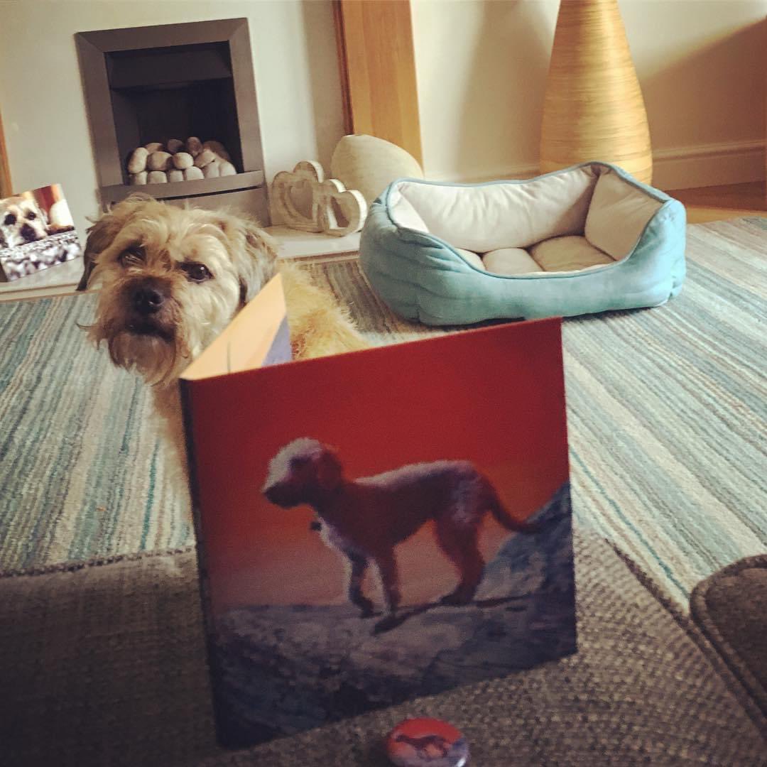 This came in the post, on this day in 2017.

<a href="/ToffeeYaffle/">Professor Yaffle</a>