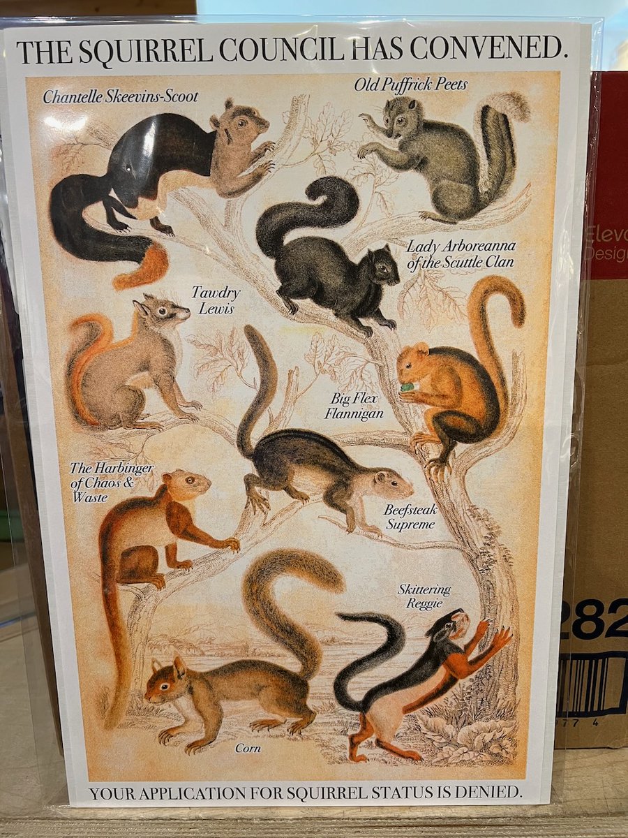 sciuridaely's tweet photo. My friends know what I like . . . #squirrels! 

Happy #Sciuridae! https://t.co/o15gT9uPss